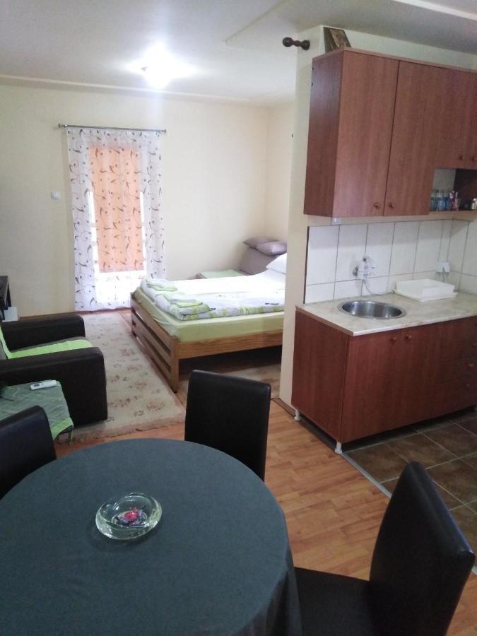 Apartman Sasa Banja Koviljača Exterior foto