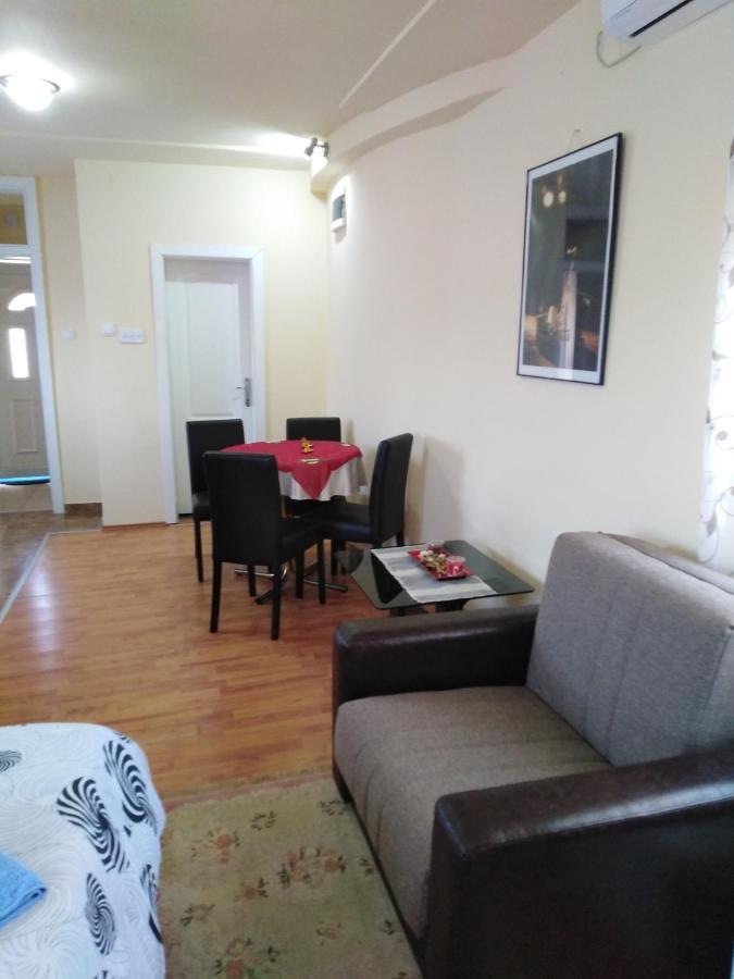 Apartman Sasa Banja Koviljača Exterior foto