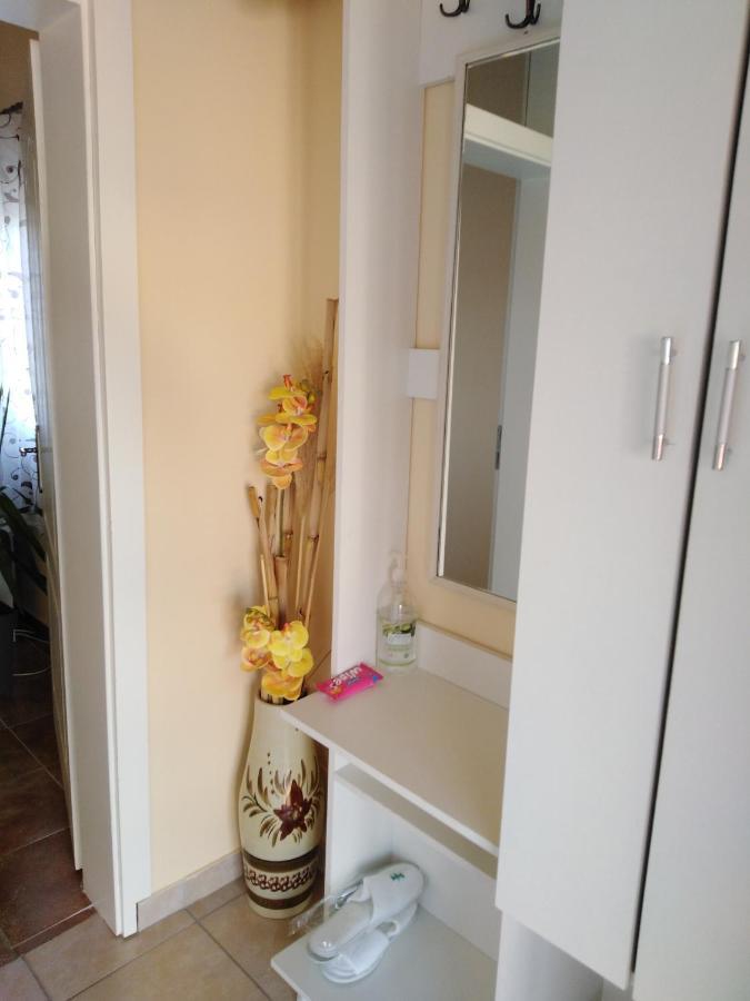 Apartman Sasa Banja Koviljača Exterior foto