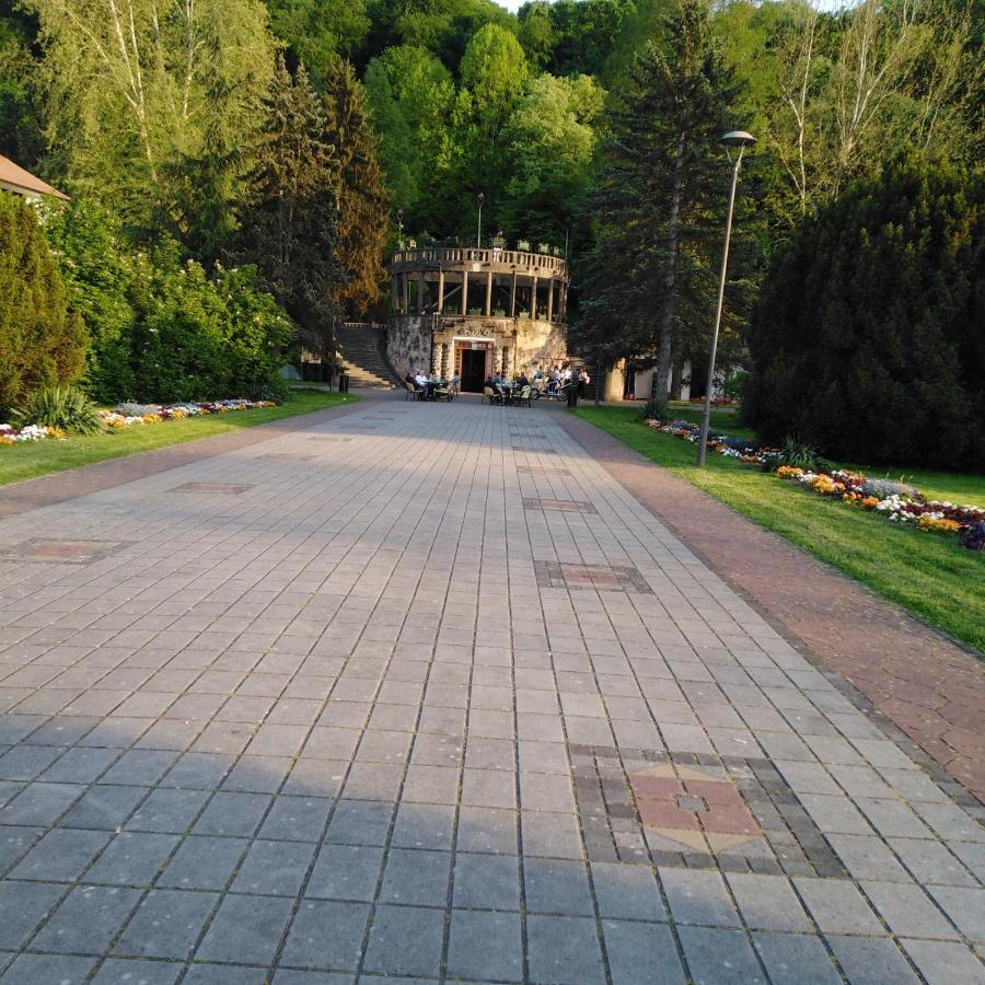Apartman Sasa Banja Koviljača Exterior foto