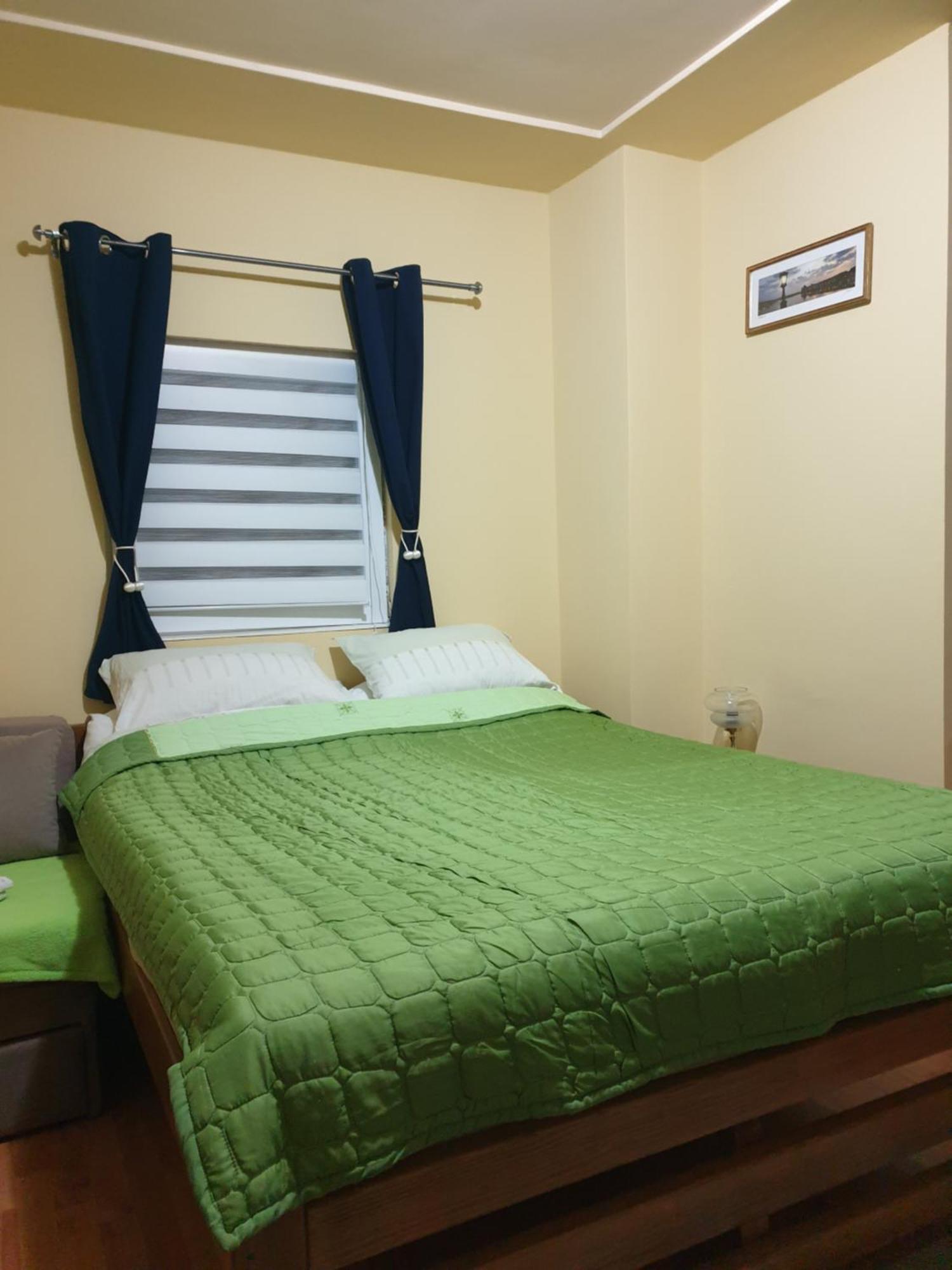 Apartman Sasa Banja Koviljača Exterior foto
